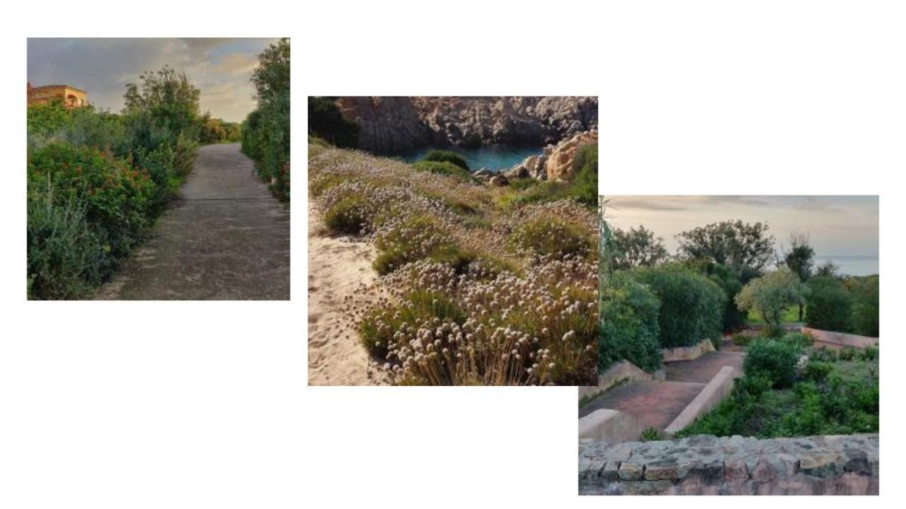 Vacanze In Natura Incontaminata "Casa Vacanza Francesca" Isola Rossa Exterior foto